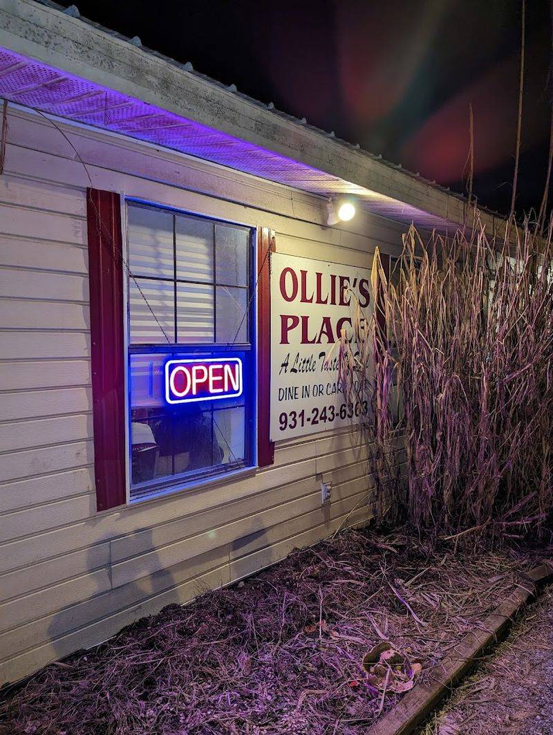 Ollie's Place &mdash; Celina