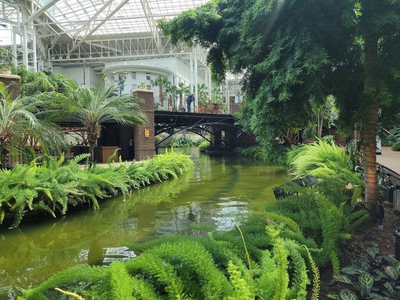 What the Ride Is Actually Like Once You're On the Water