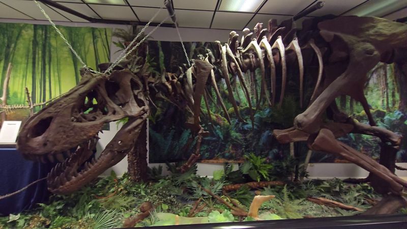 Earth Experience / Middle Tennessee Museum of Natural History &mdash; Murfreesboro