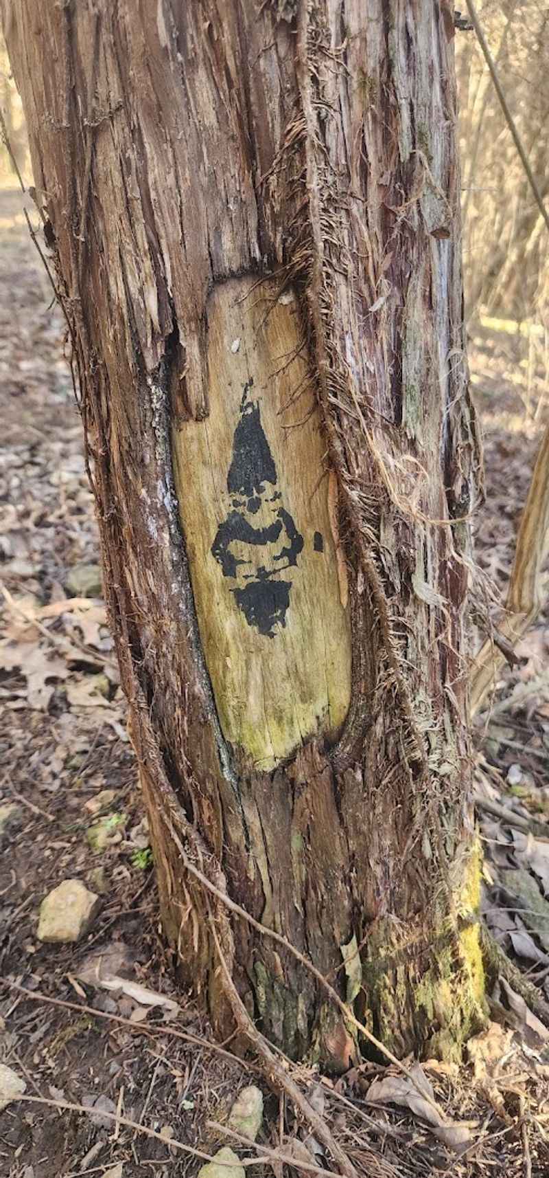 The Hidden Gnomes and Fairy Houses That Make This Trail So Special