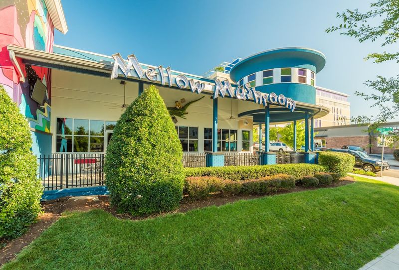Mellow Mushroom &mdash; Knoxville