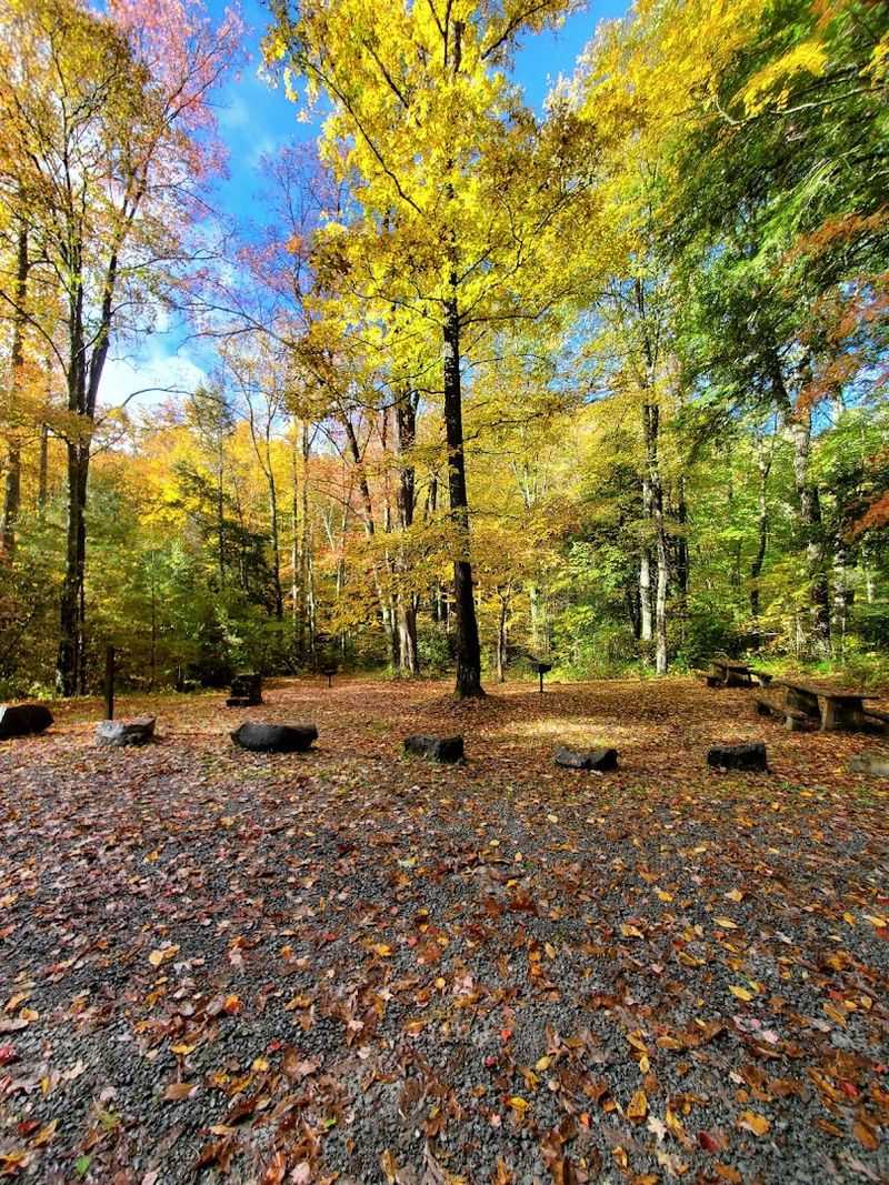 Dennis Cove Recreation Area in Cherokee National Forest
