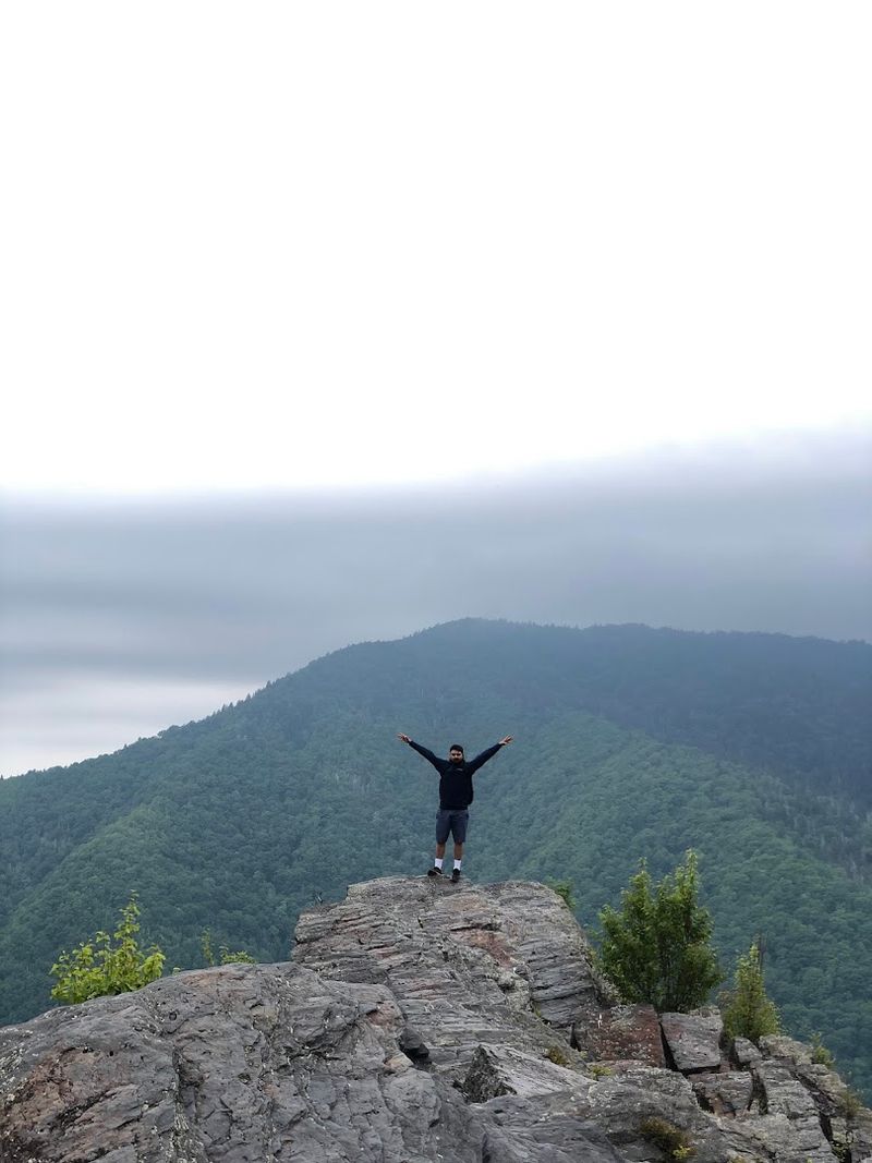 The Tennessee hike that is not for anyone nervous about heights