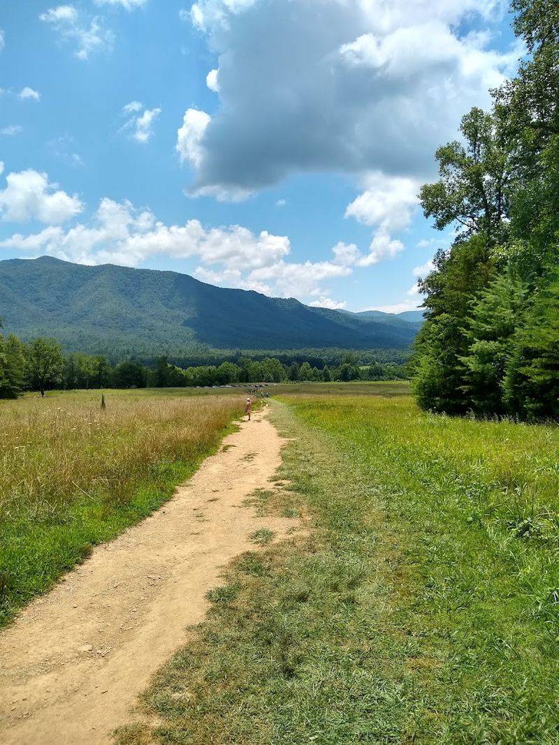 Cades Cove Loop Road