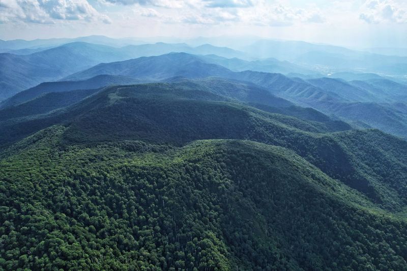 Unaka Mountain Wilderness