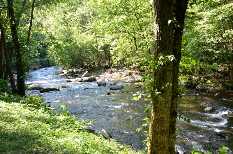Sugarlands / Gatlinburg Entrance Area &mdash; Great Smoky Mountains