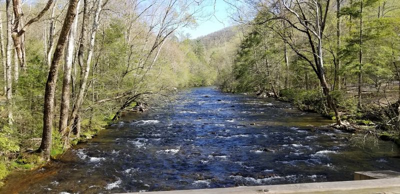 Little Pigeon River