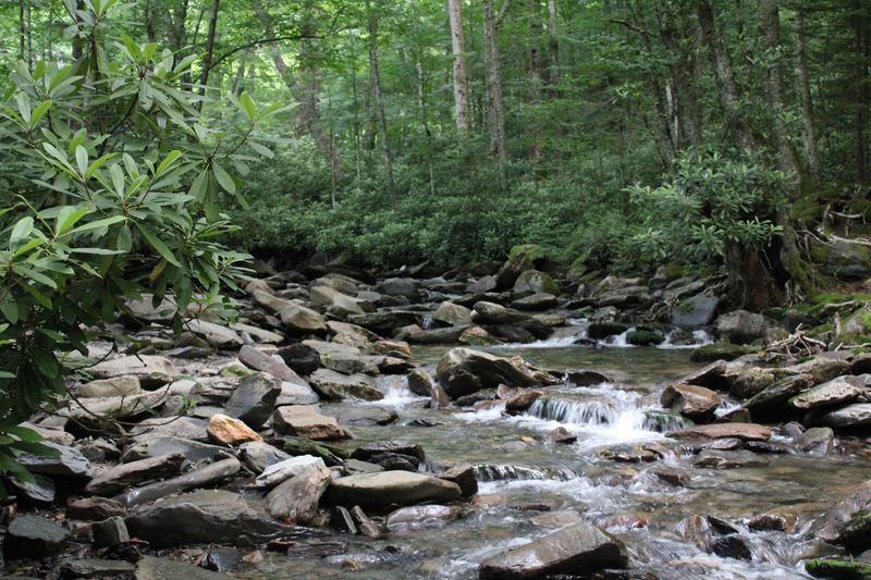 Alum Cave Trail, Great Smoky Mountains National Park