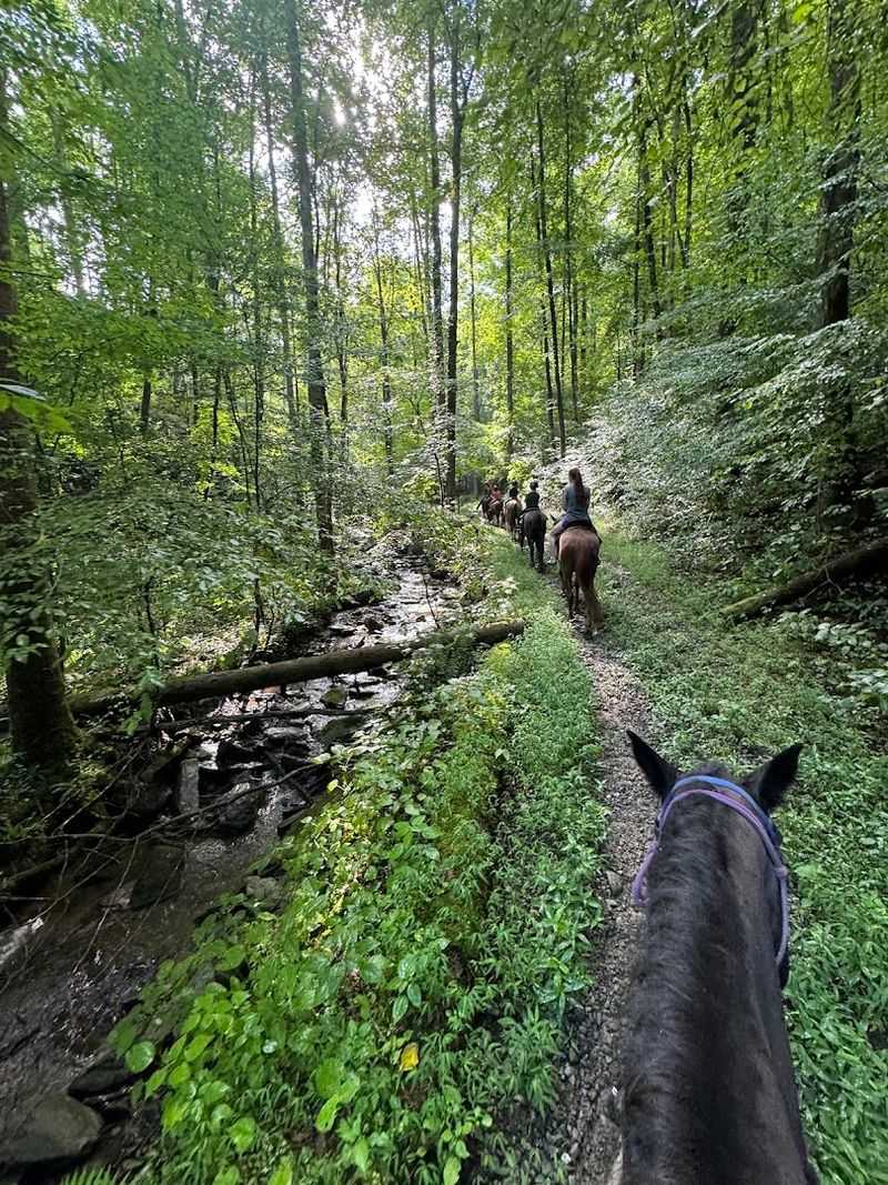 Sugarlands Riding Stables &mdash; Gatlinburg
