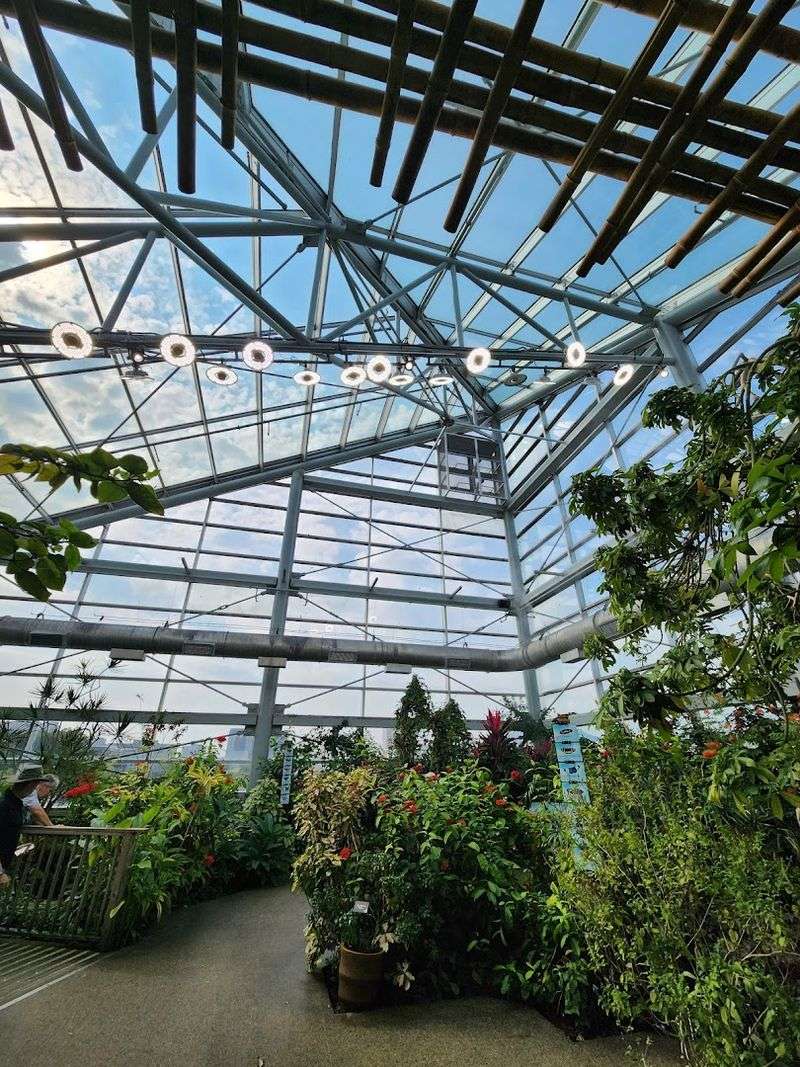 A Colorful Escape Inside Chattanooga's Aquarium