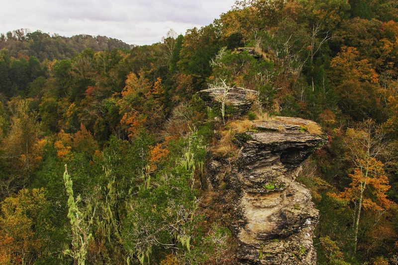 Window Cliffs State Natural Area