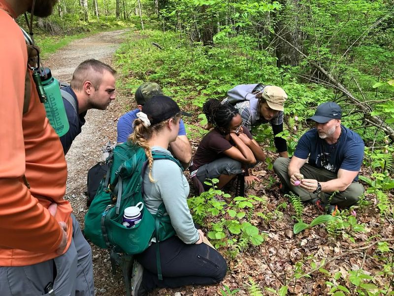 Why Nature Lovers Should Visit in April