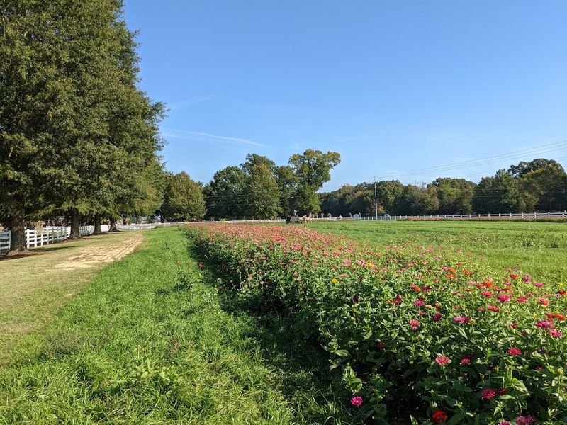 Why This Milan Spot Makes a Great Family Outing