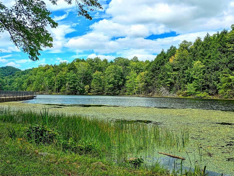Why Bays Mountain Park & Planetarium Stands Out as More Than a Typical Nature Escape