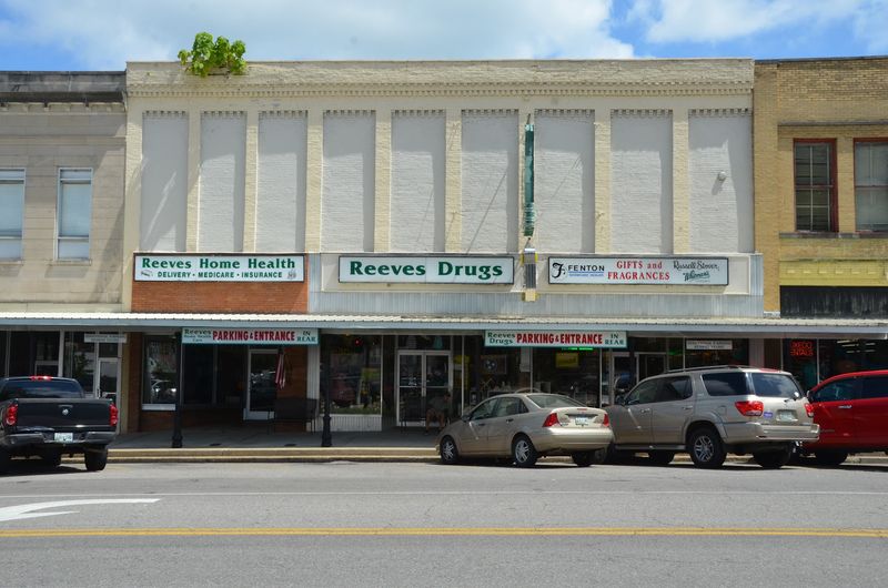 Reeves Drug Store &mdash; Pulaski