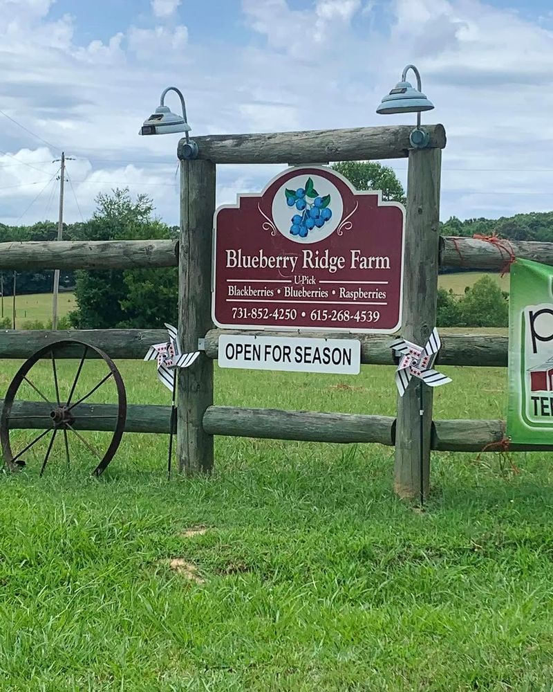 Blueberry Ridge Farm &mdash; Decaturville