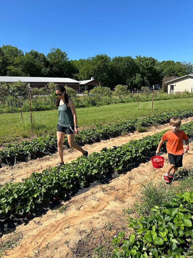 Circle S Farms &mdash; Lebanon