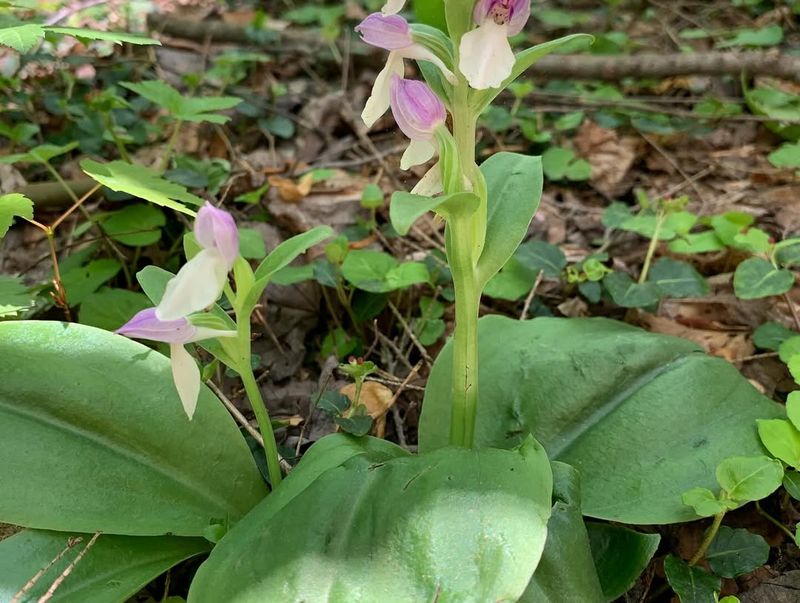 Why This Long-Running Event Stands Out