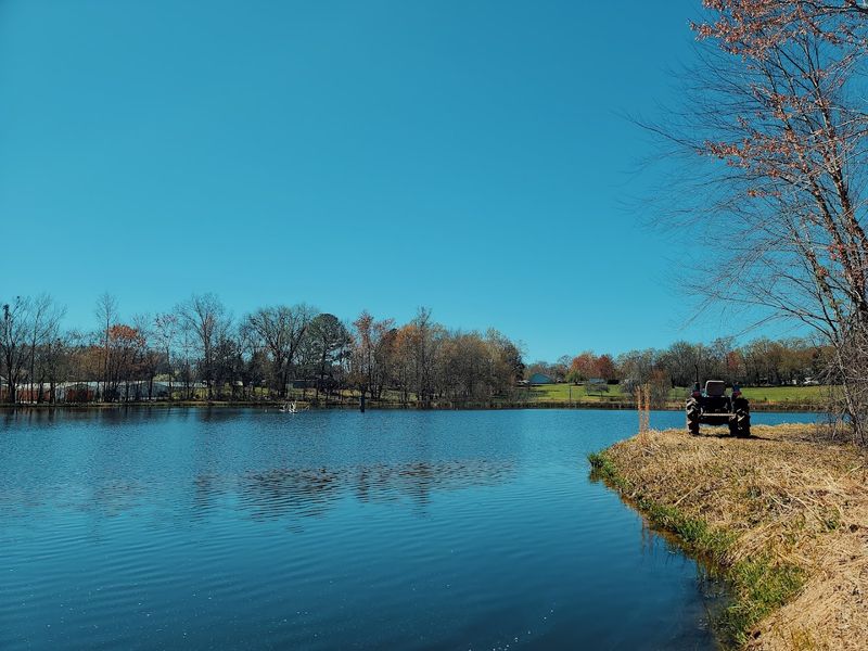Kentucky Lake days and scenic drives that never get old
