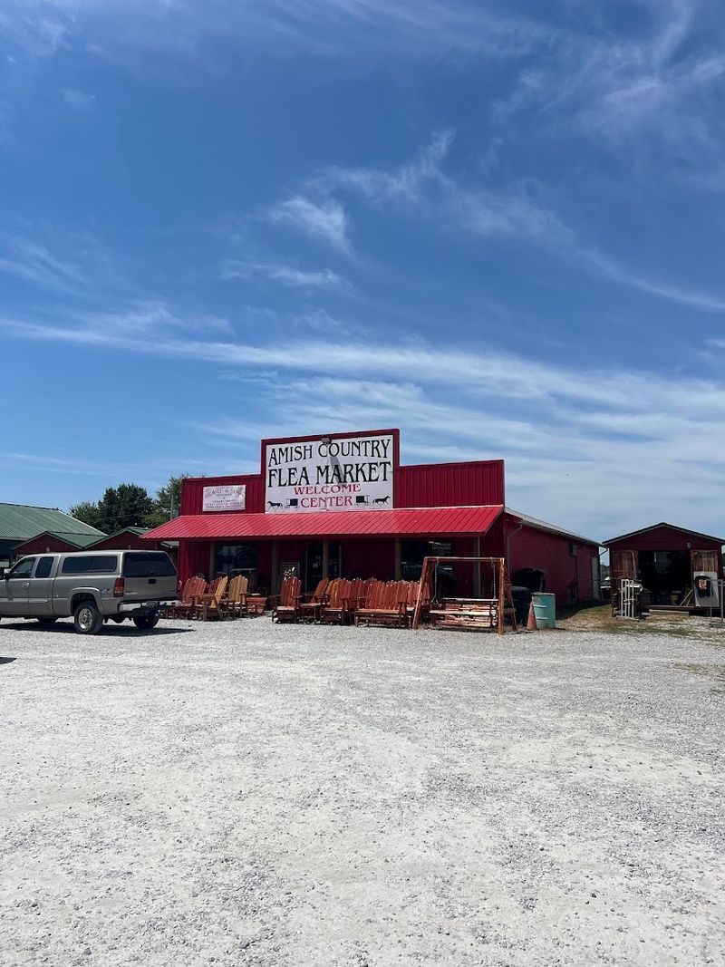 Quilts and Textiles That Tell a Story