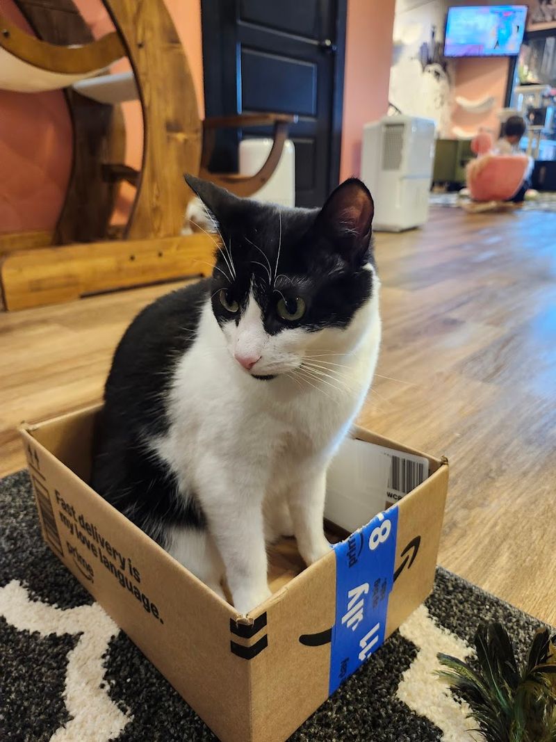 Why This Murfreesboro Cafe Feels More Memorable Than A Typical Coffee Stop