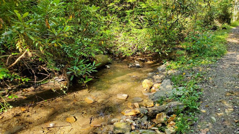 Schoolhouse Gap Trail (Townsend)