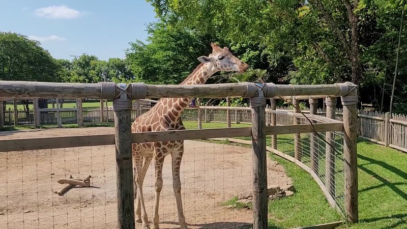 Chattanooga Zoo &mdash; Chattanooga