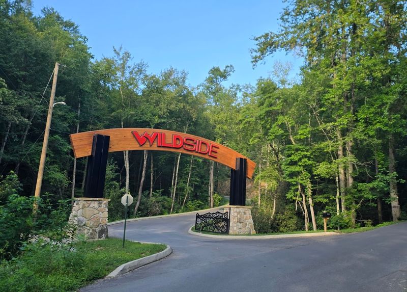 What to Know Before You Go