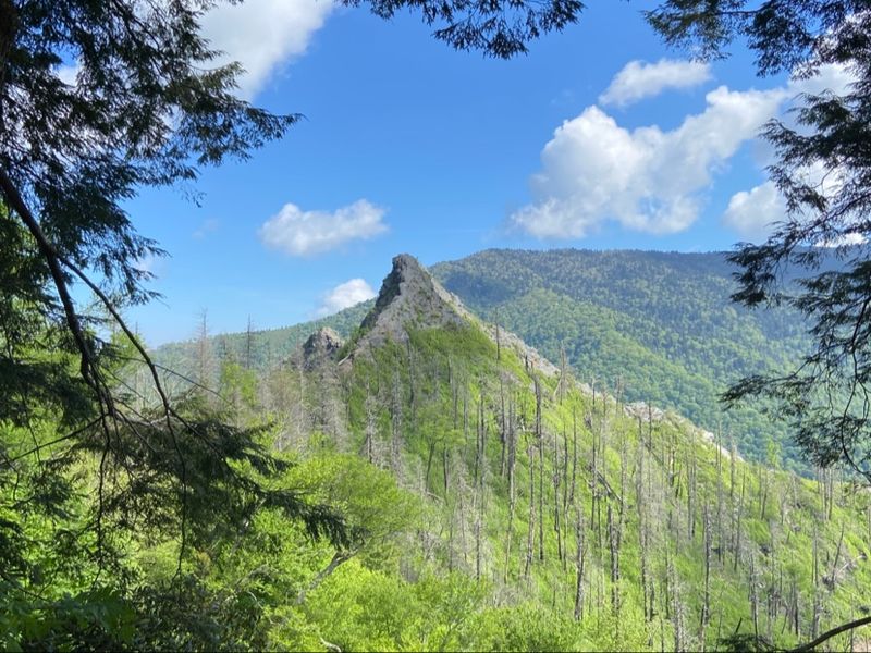 When to hike it if you want the safest and prettiest experience