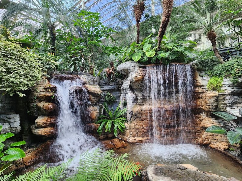 How This Conservatory Became One of Tennessee's Standout Attractions