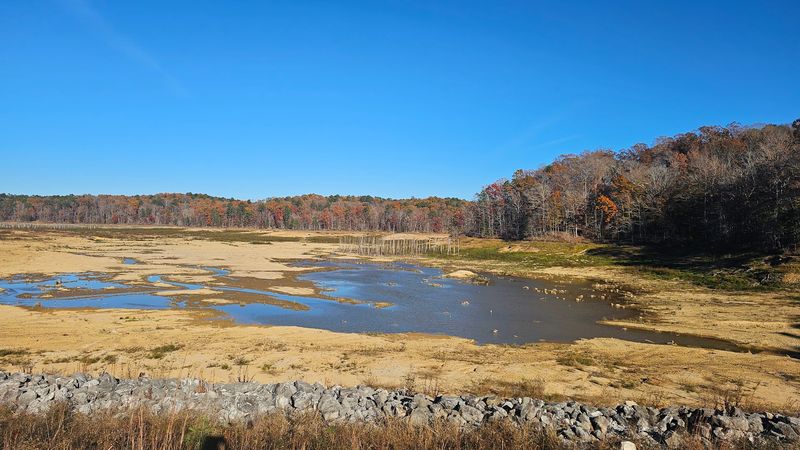 Big Hill Pond State Park (Pocahontas)