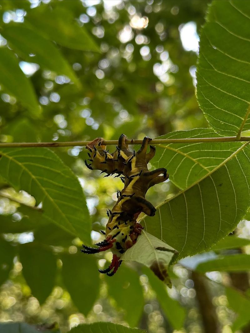 What You Can Do at the Event