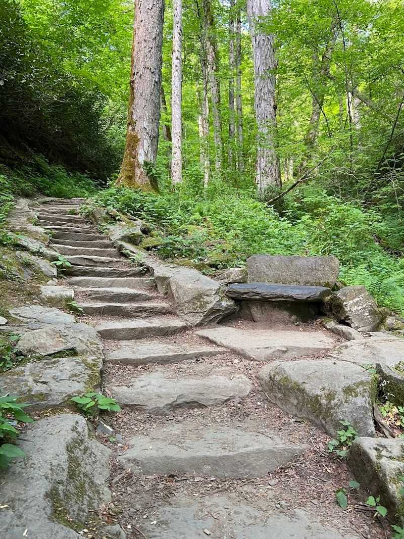 The stairs just keep coming on this Smokies trail