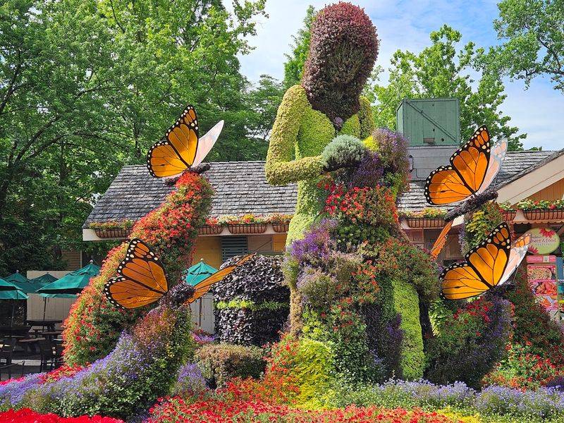 Dollywood in Pigeon Forge