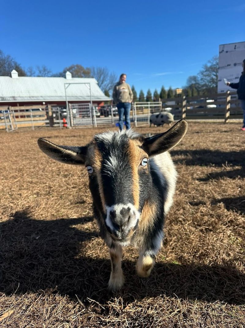 Ocoee Riverside Farm — Benton
