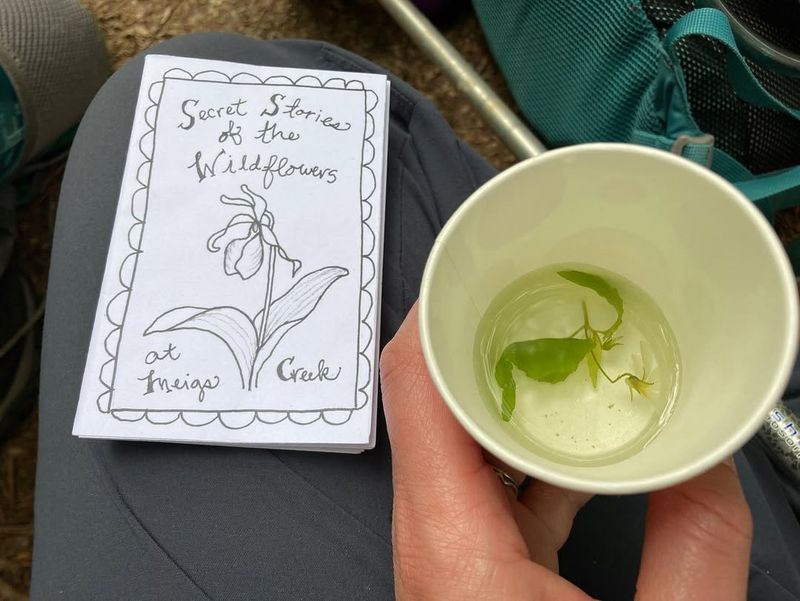 What Is the Spring Wildflower Pilgrimage in Tennessee?