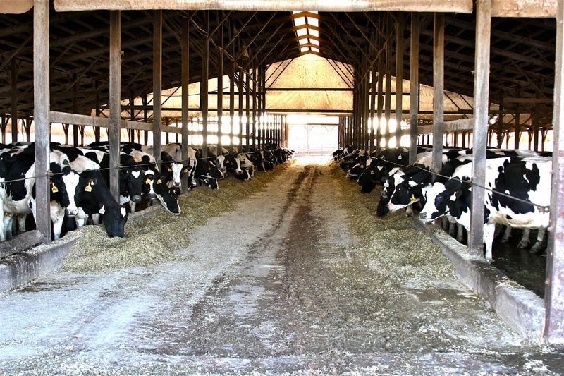 Sweetwater Valley Farm — Philadelphia