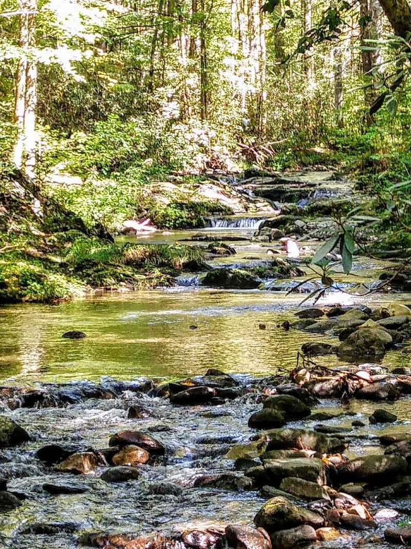 Tennessee's Wild Side, Without the Crowds