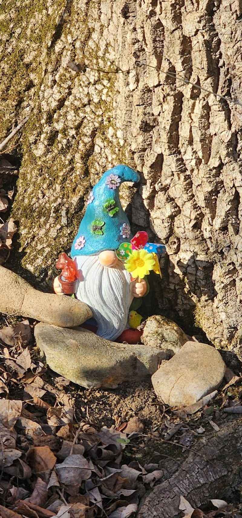 How the Trail Turns a Simple Hike Into a Fun Little Treasure Hunt