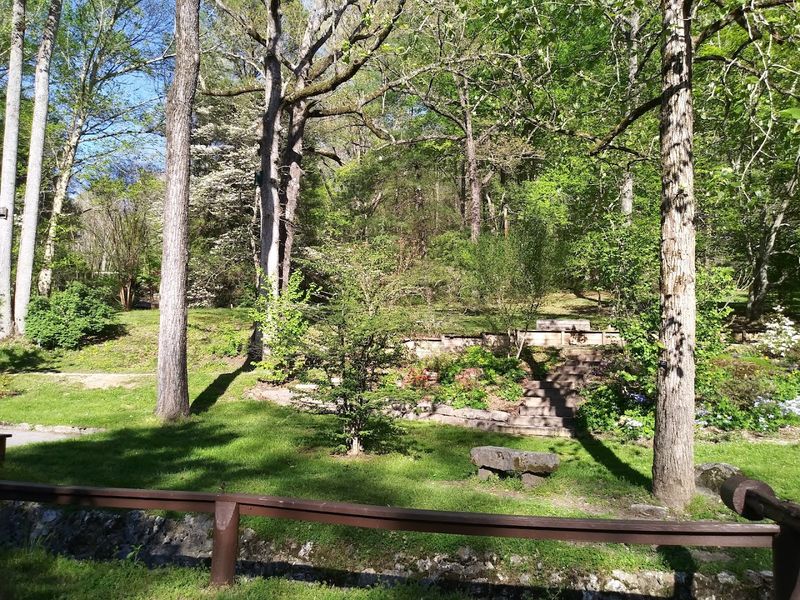 Why Nature Lovers Keep Finding Their Way to Oak Ridge