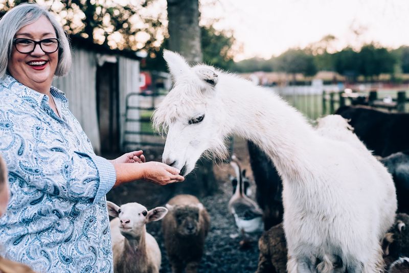 Lucky Ladd Farms — Eagleville