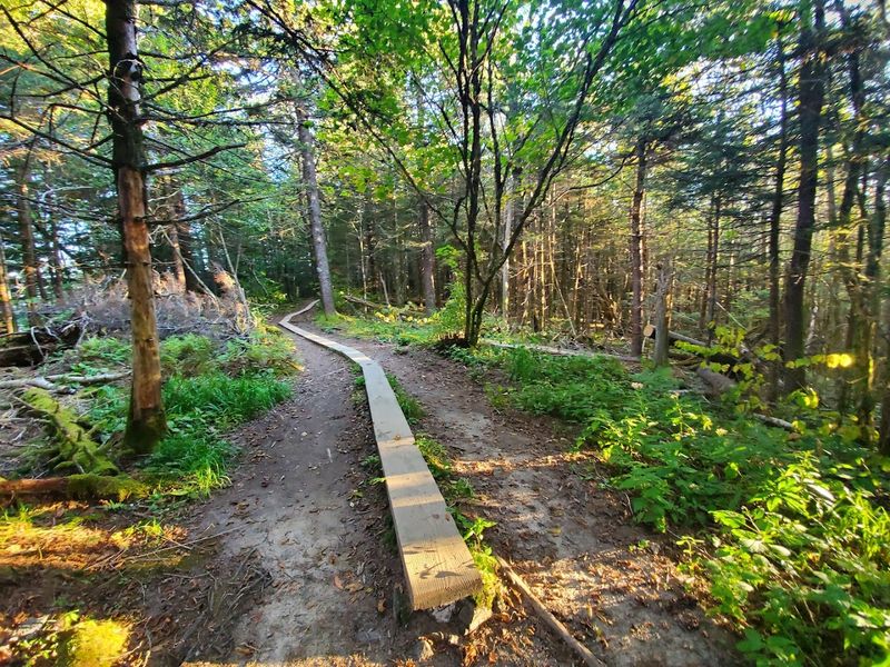 Great Smoky Mountains National Park
