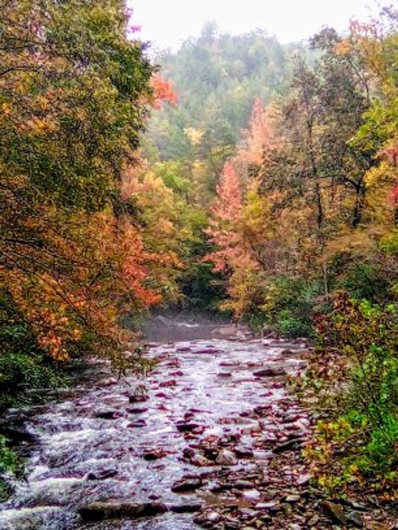 Citico Creek Wilderness
