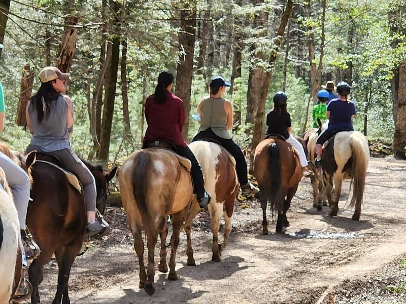 Cades Cove Riding Stables &mdash; Townsend