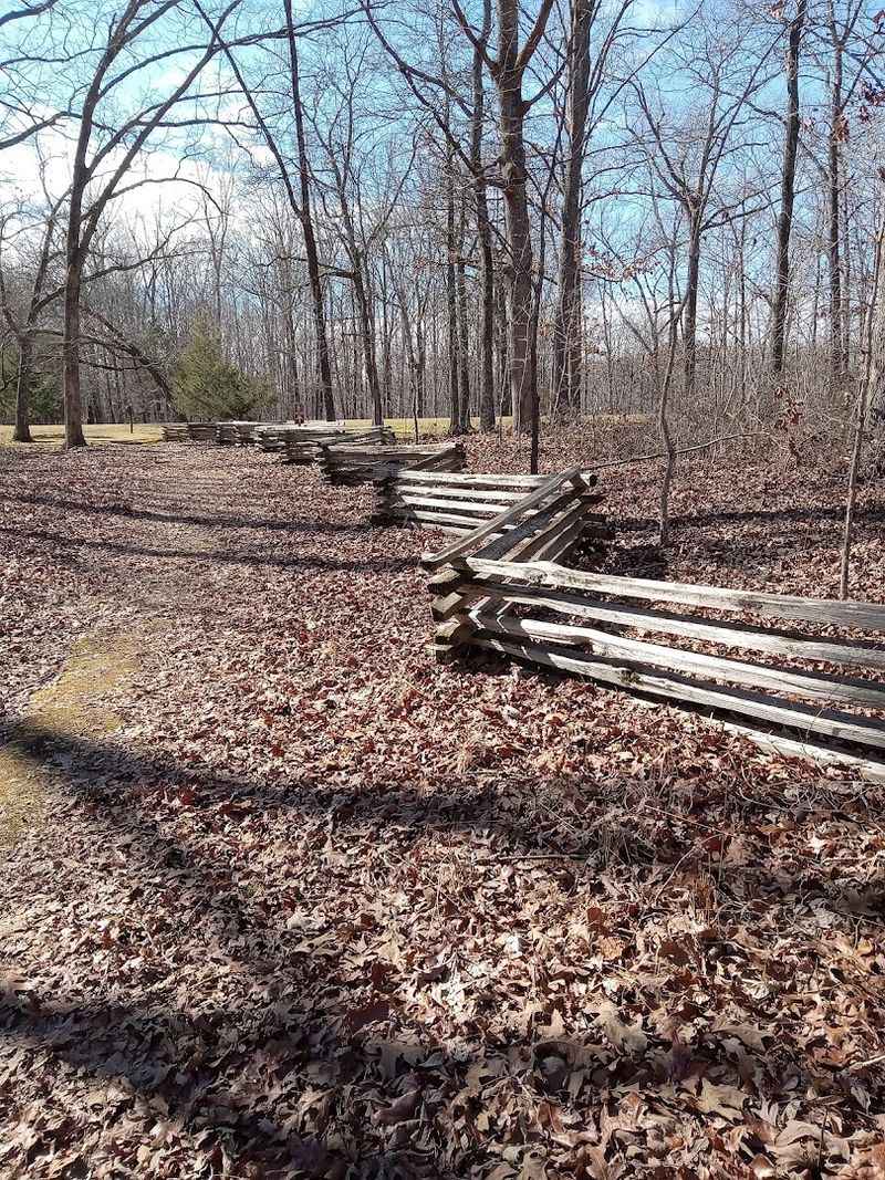 Scenic Views, Forests, Creeks, and Wildlife Along the Way