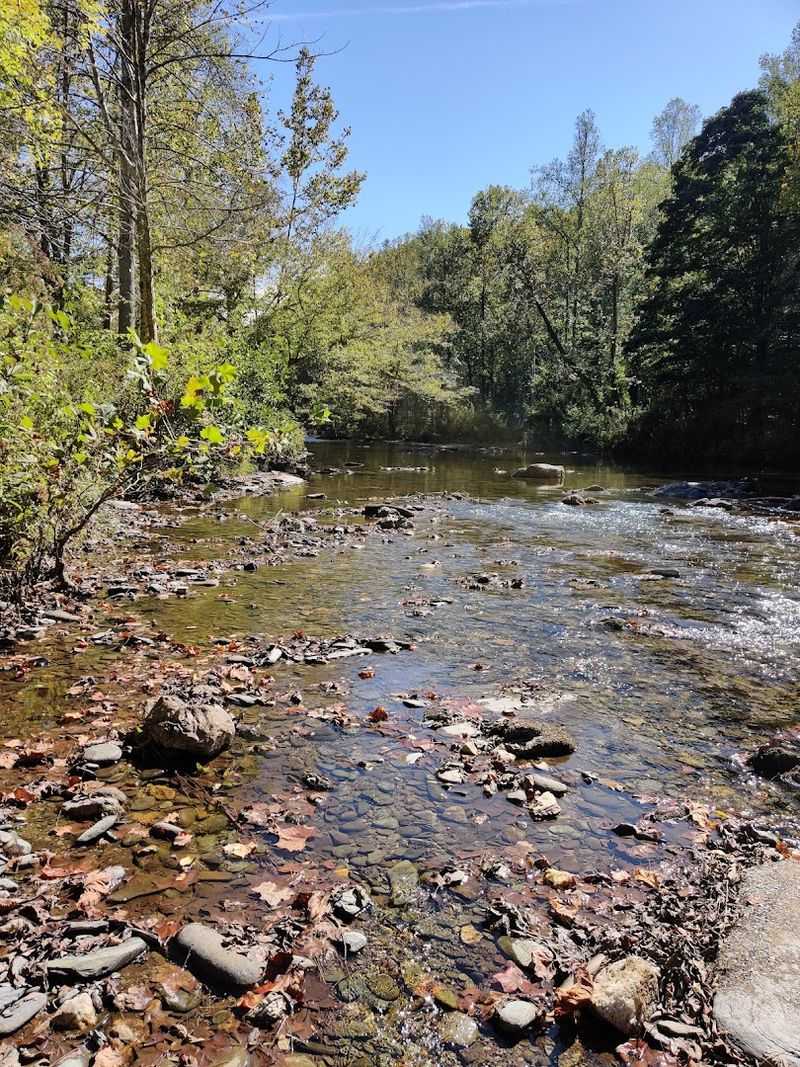 Tellico River — Tellico Plains