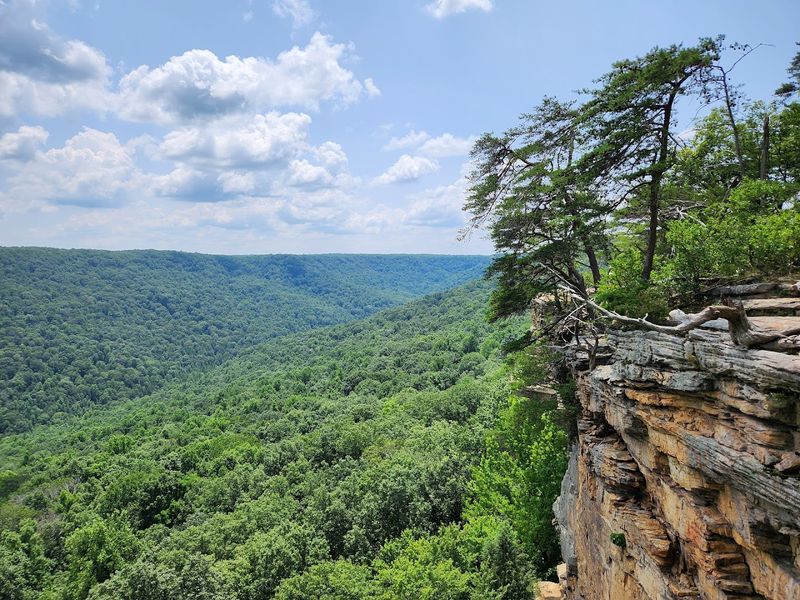 Stone Door / Great Stone Door Area, Savage Gulf State Park