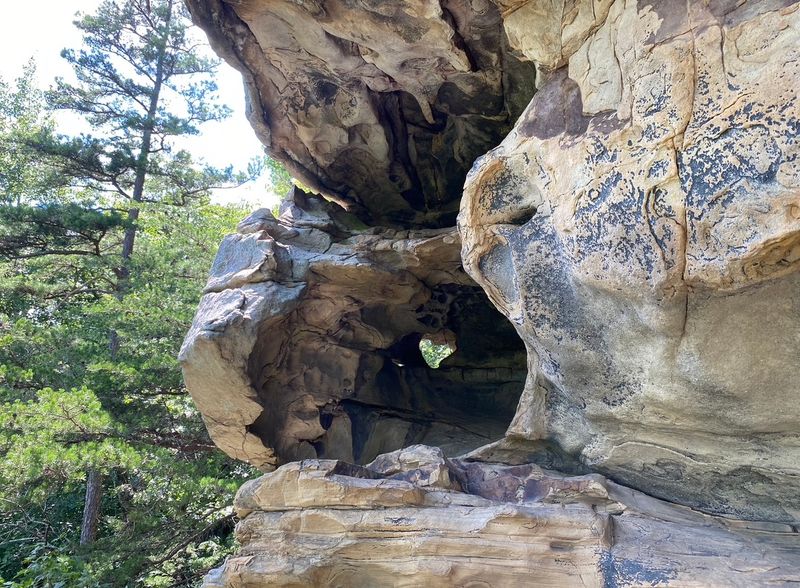Stone Door / Savage Gulf Area Trails