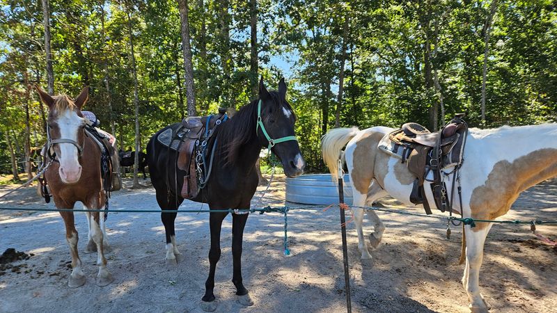 Fall Creek Falls Riding Stables &mdash; Spencer