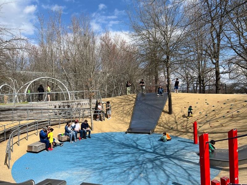Once You've Been to Woodland Discovery Playground, It's Easy To See the Hype